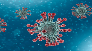 Coronavirus COVID-19