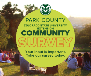 Copy of Copy of FB_IG 3