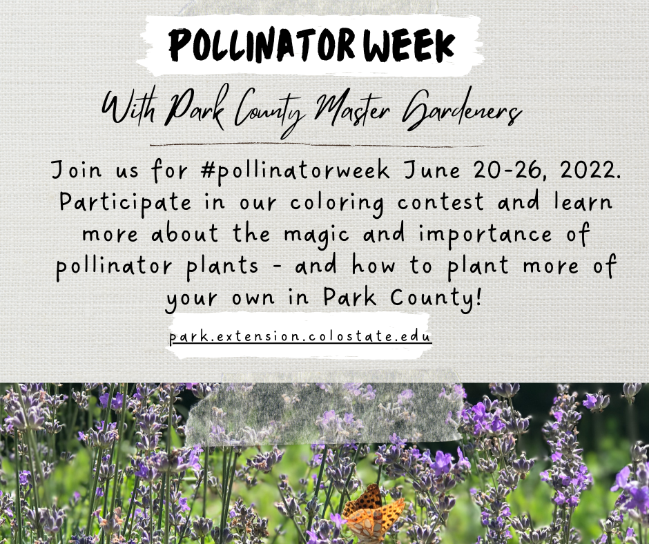 2022 Pollinator Week (1)