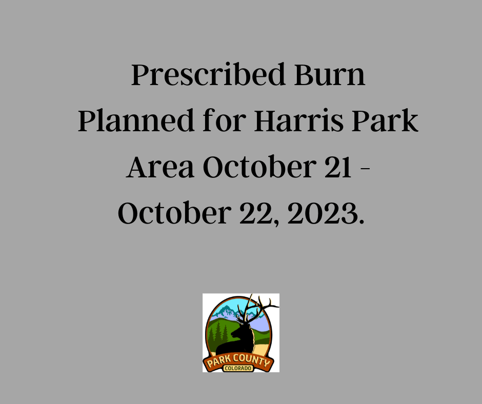 Facebook and News Flash (26)